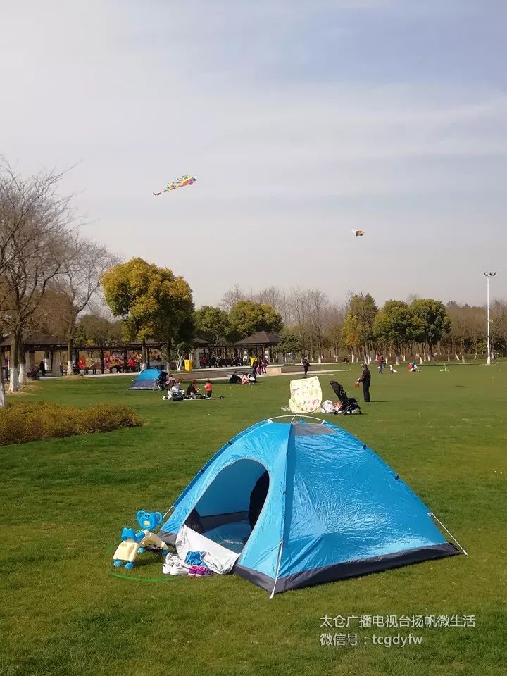 太仓踏青地方在哪里,太仓踏春旅游攻略