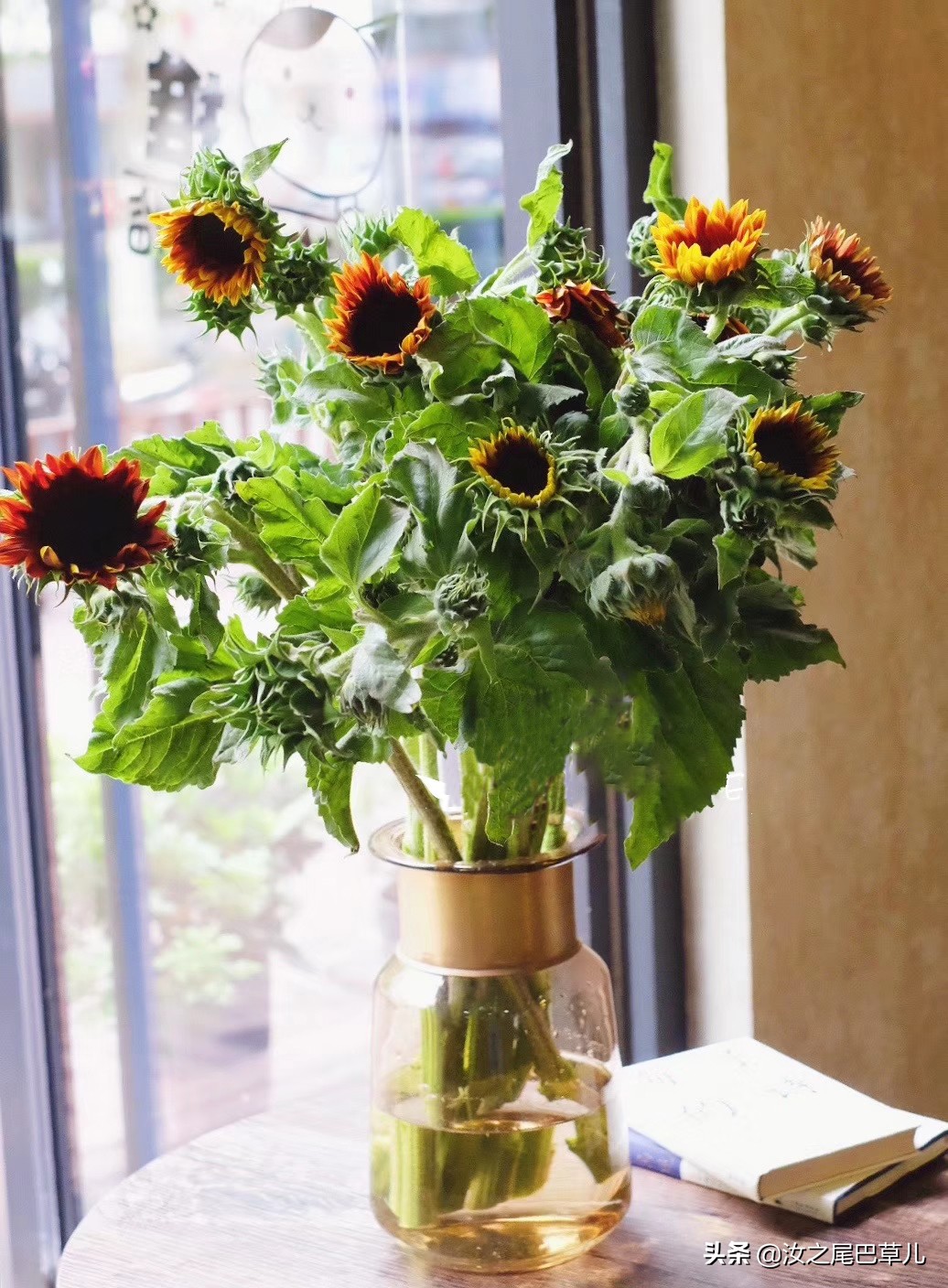 鲜花蔫了关注事项,买的鲜花有点蔫怎么养