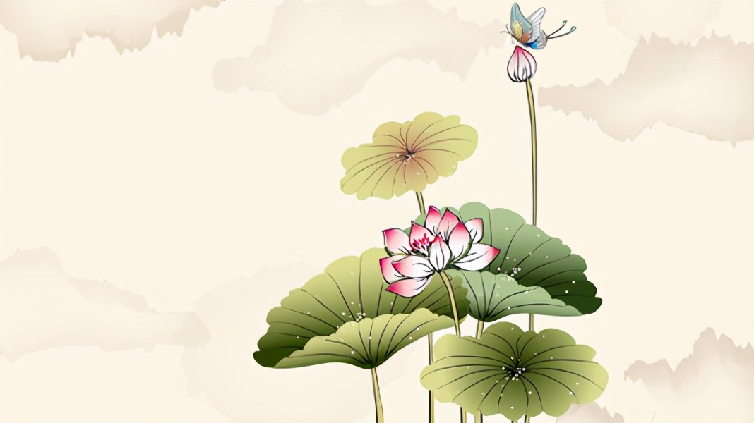 小学语文教资面试《荷花》教案+逐字稿