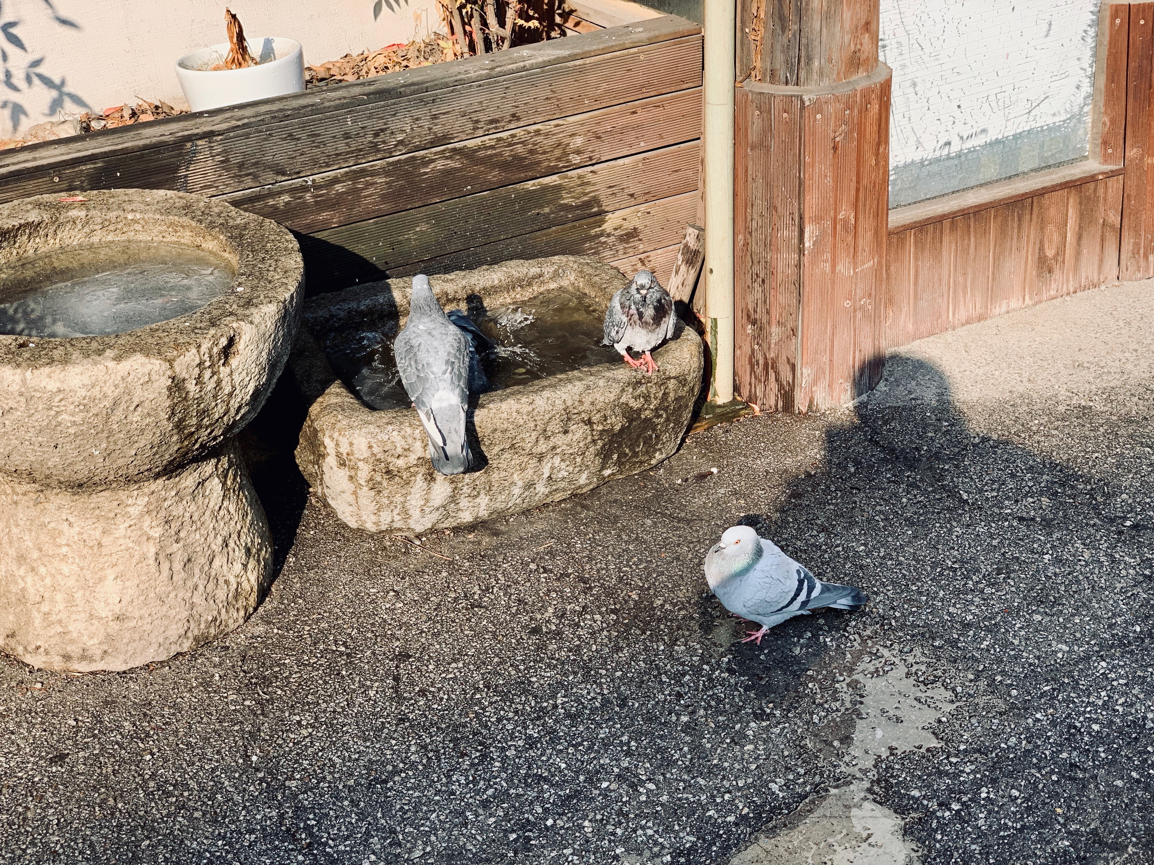 网速慢别点，百图韩国游记—一场关于音乐、历史与喝酒的首尔盛筵