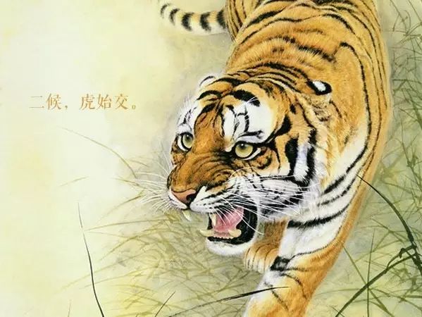 夜深知雪重读音,夜深知雪重