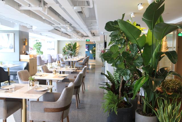 北京西单好吃不贵的美食,北京西单美食排行榜前十名的餐厅