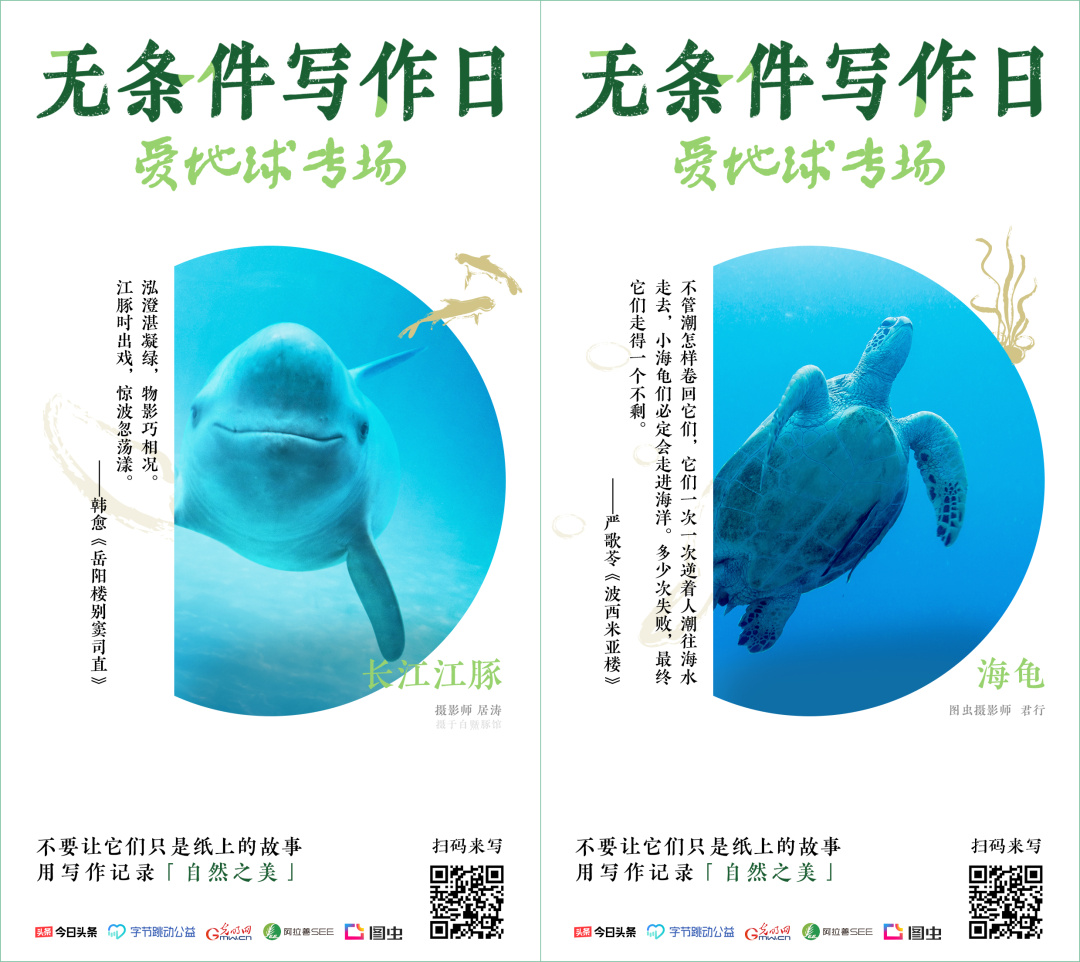 一个云南人如何成为最多产的“西方”博物学家？