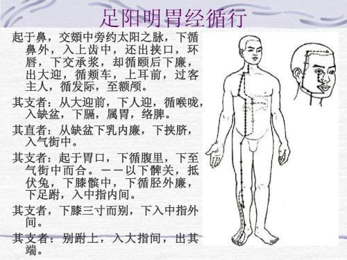小儿鼻梁有青筋的迷信说法,小儿鼻梁有青筋中医辨证