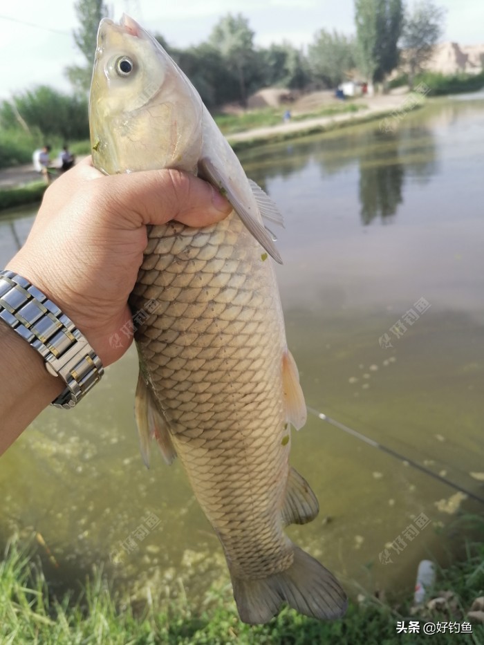 阿克苏毕业季,再见新疆阿克苏原版