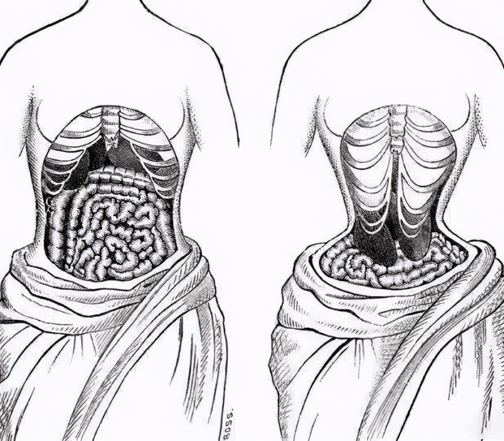 每天15分钟，一个月快速瘦腰/缩胯/清晰腰线「跟练视频版」