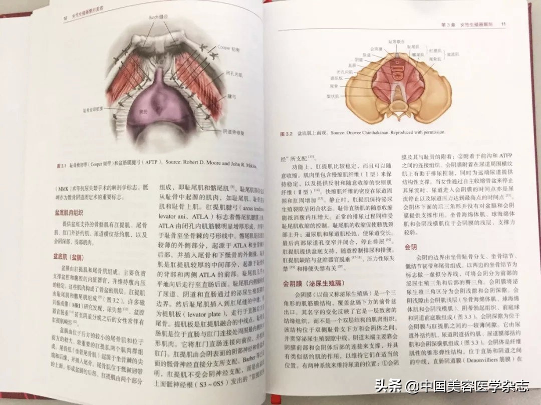 新书推荐▏陈敏亮教授主译《女性生殖器整形美容》