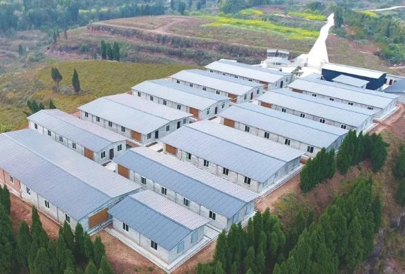 德康农牧、周黑鸭、昊王米业……这些农业产业化国家重点龙头企业，都有哪些成功经验？