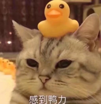 剑网三新门派宣传,剑网三官方宣传视频