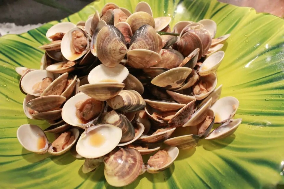 史上最全面的海鲜大咖,史上最全海鲜视频