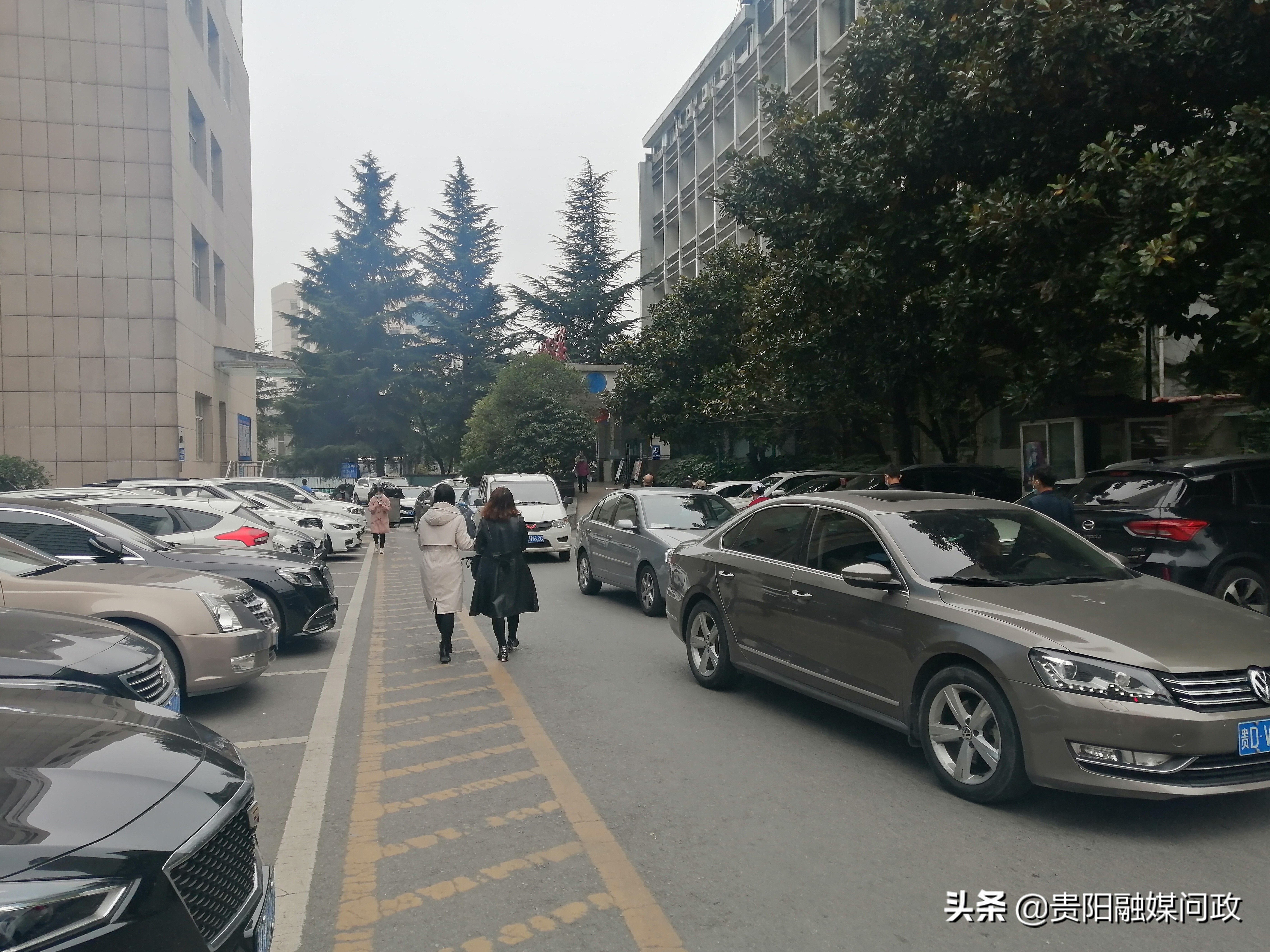 驾车就医“最后100米”有点“卡”，症结主要在于医院车位不够｜融媒问政