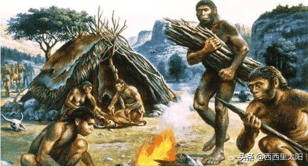 女护士因拒绝领导饭局遭解聘,21岁女护士拒绝饭局被解聘完整版