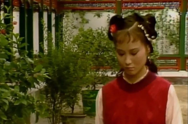 蒋勋一个卑微者,蒋勋身世