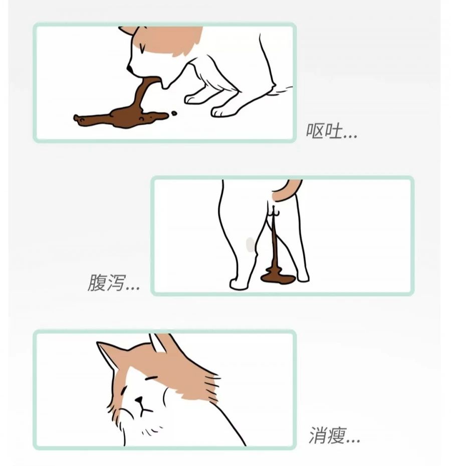 菊部周边长了个肉疙瘩,菊部旁边长了个肉疙瘩