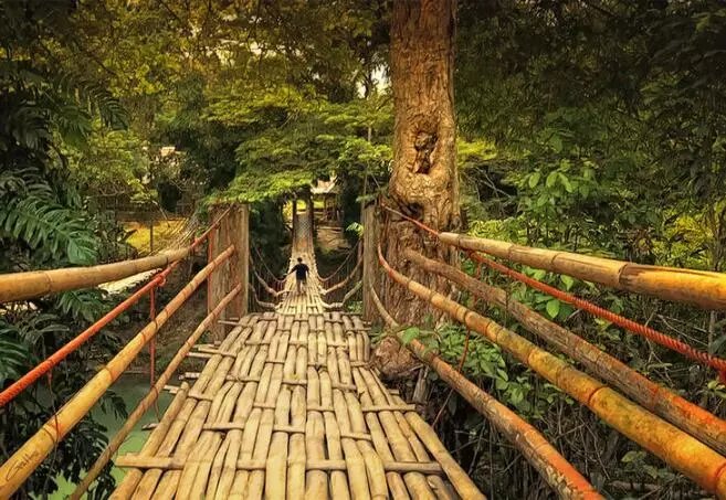 微景观材料的作用,微景观生态材料