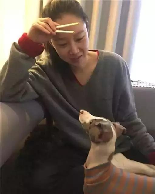 李宇春，吴青峰，王俊凯都在穿的韩国潮牌Pushbutton！