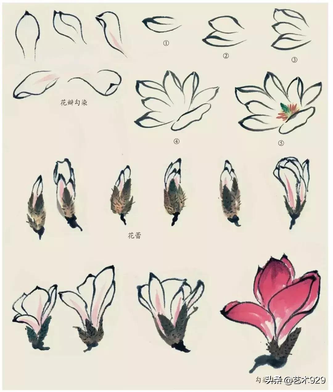 国画技法工笔花卉配色与花叶染法,国画欣赏精致的工笔彩色花卉