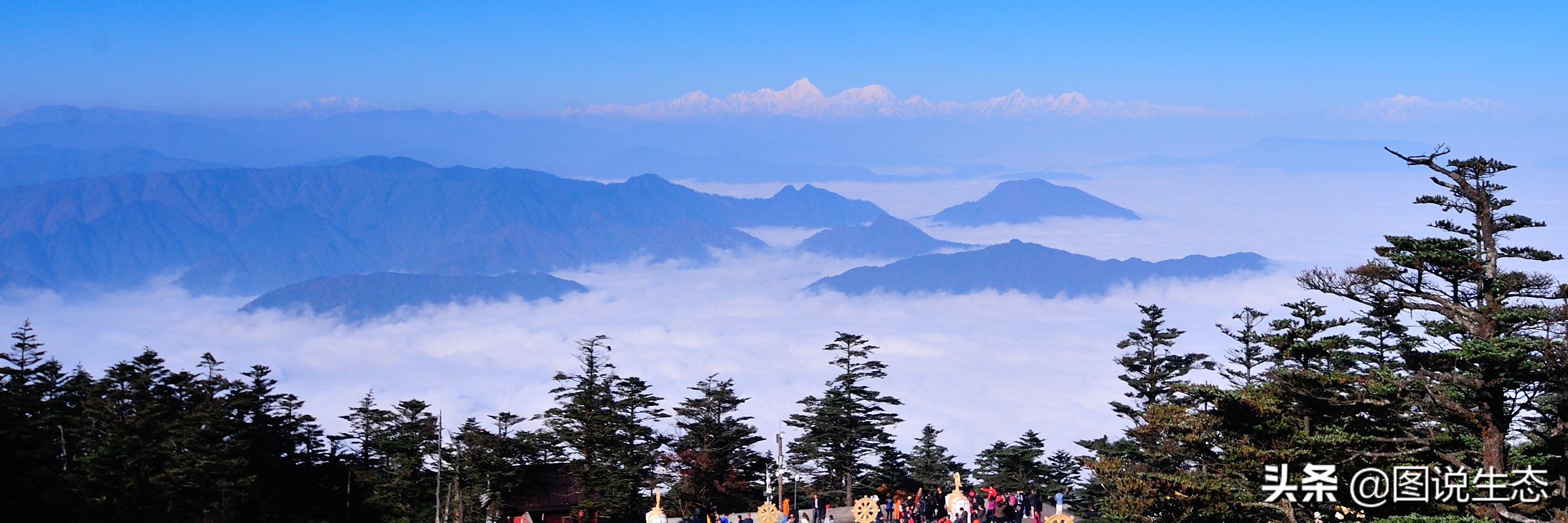 登上峨眉山金顶看风景,峨眉山日出云海佛光圣灯照片