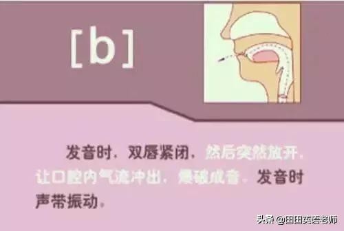 基础英语48个国际音标详解，赶紧来学习！