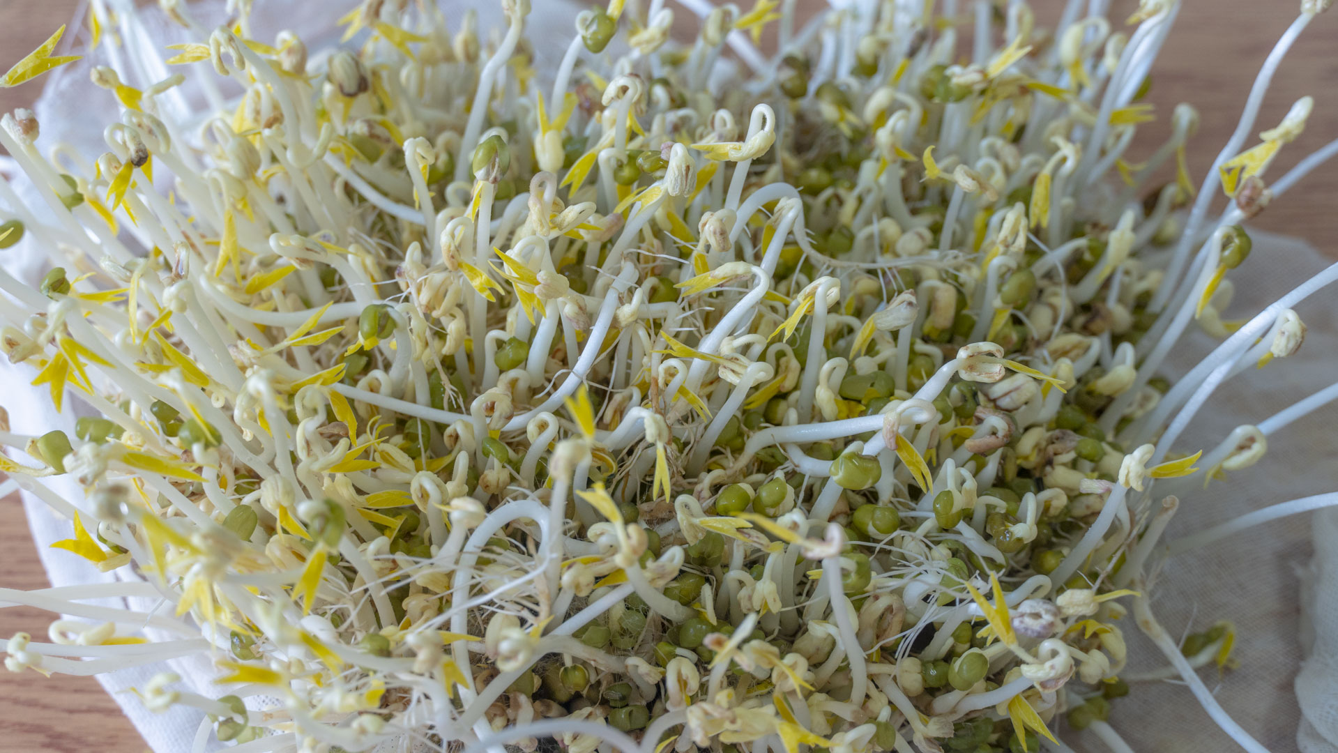 在家怎么发豆芽简单又好吃,自己在家怎么发豆芽最简单