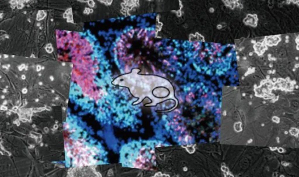 精子质量降落夏天饮食怎么调理,全球男子精子骤减