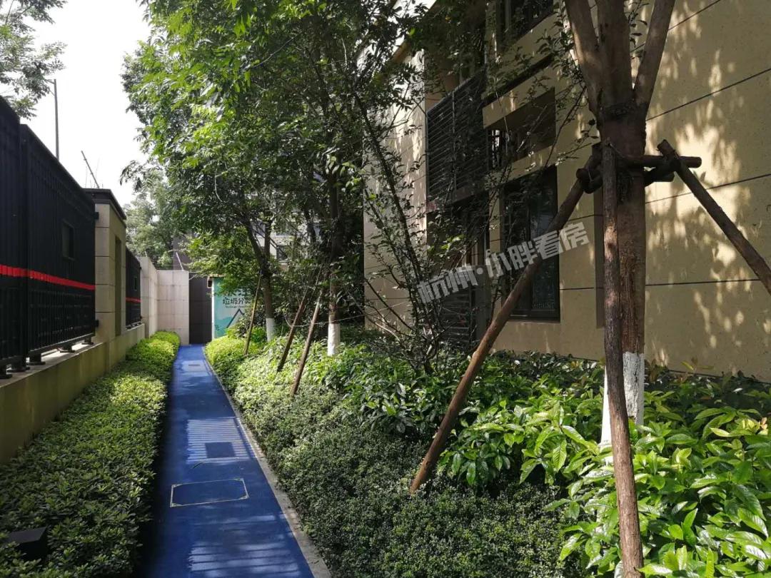 越卖越疯狂！万科星空凭什么代表未来科技城站上5万+