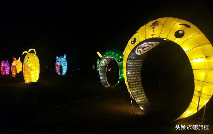花世界灯展,东西湖花世界灯光节
