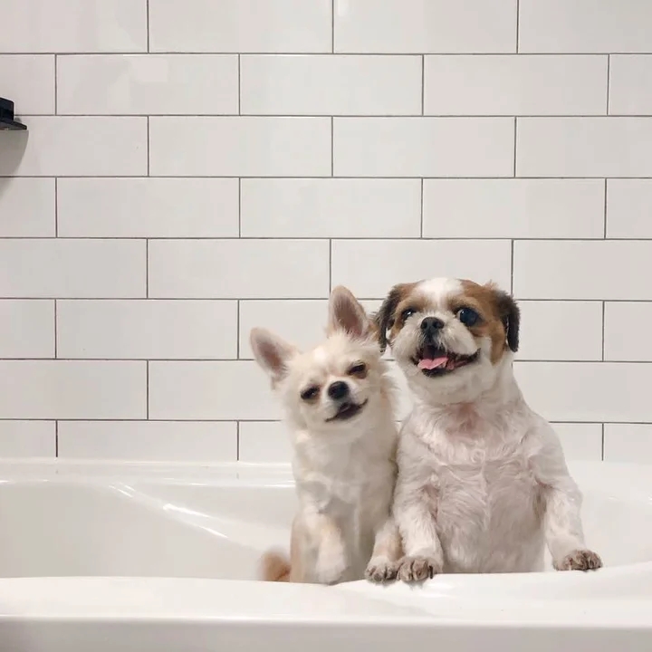 终于把家装成自己想要的样子了,终于把家装修成喜欢的样子了