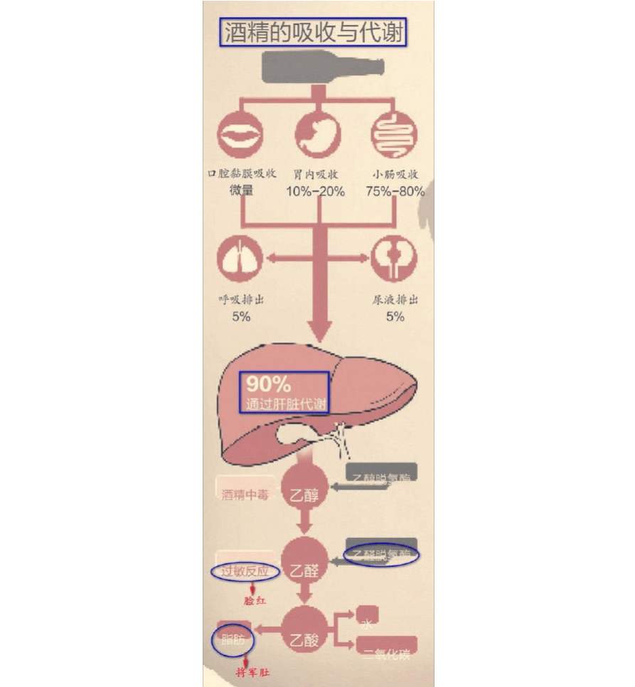 娲己寰嬪笀浜嬩欢,娲己寰嬪笀