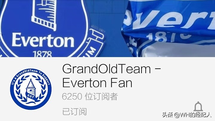 英超球迷数,英超20球队