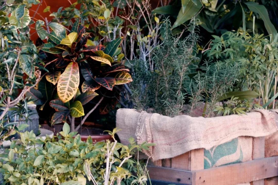 一对夫妻的零浪费生活,自制牙膏洗发水