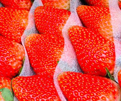 五月份吃什么水果是应季水果,5月必吃的6种应季水果