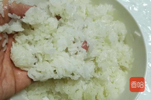 别再花钱买甜酒了自己做也很容易,手把手教你酿制米酒