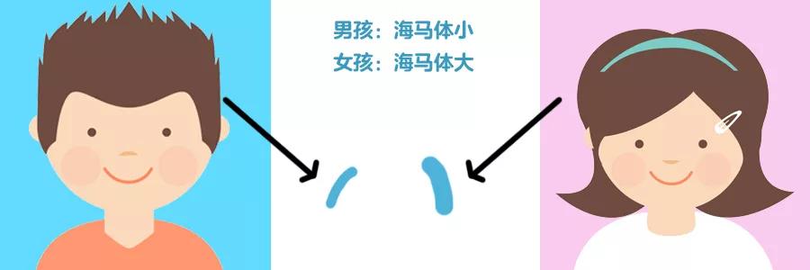 男女大脑发育有先天差异吗,男孩的大脑发育要比女孩儿的晚