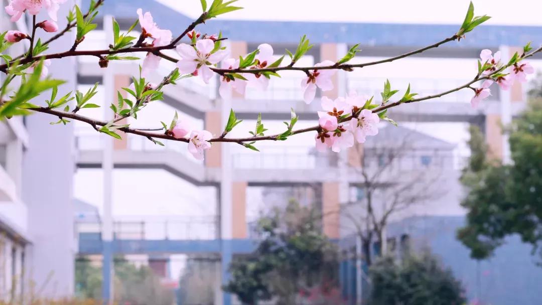 江苏省高校（五十一）南京航空航天大学金城学院