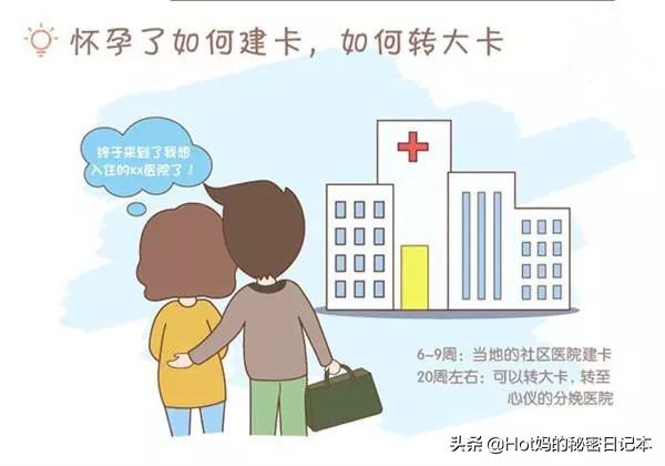 怎么判断自己是否怀孕,怎样判断仓鼠是否怀孕