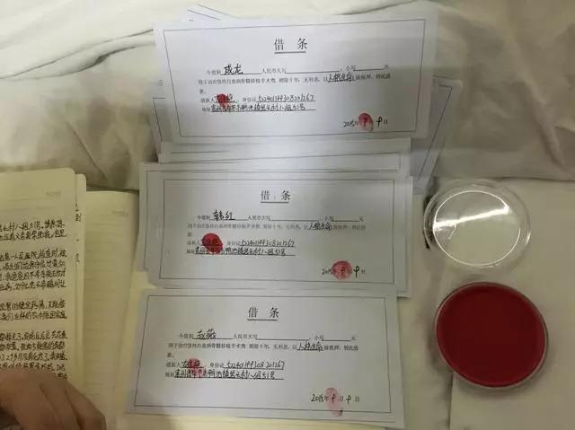 父亲欠债儿子名下的财产能执行吗,父亲欠债可以让女儿还款吗