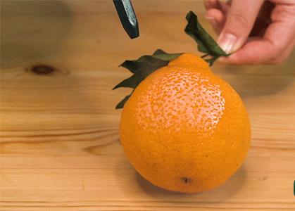 手持蒸汽清洁机，140℃高温高压去污渍，轻松满足家庭清洁需求