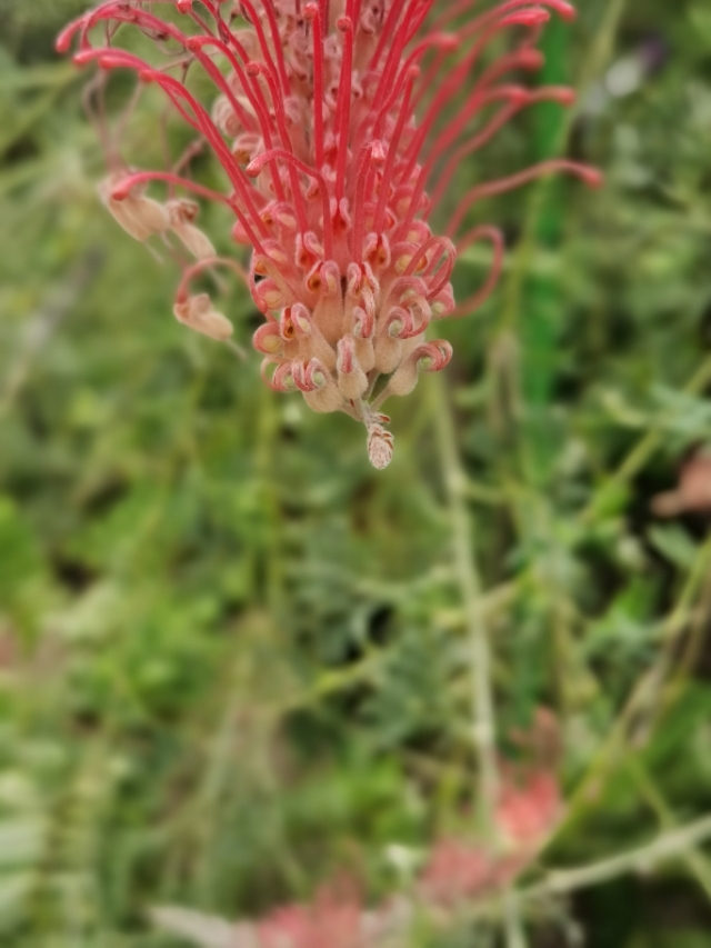 投资陷阱的十大骗局,理性投资陷阱大全