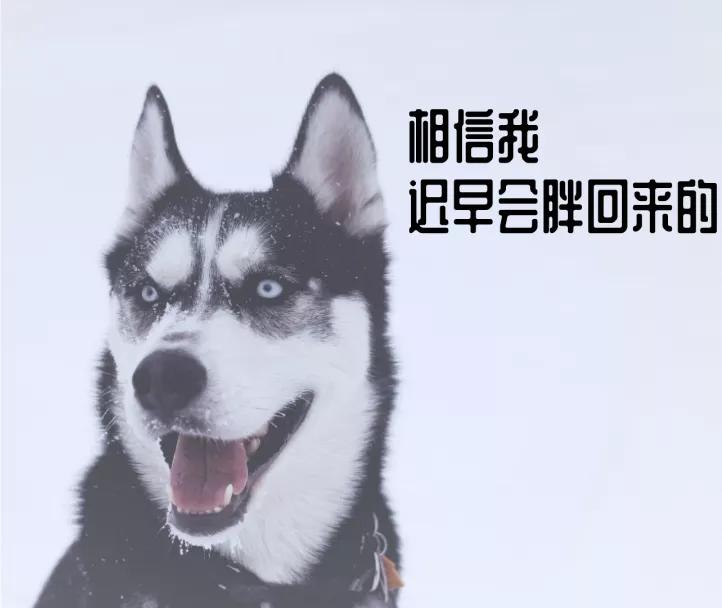 天气热食欲更强的原因,高温天气食欲不振的原因