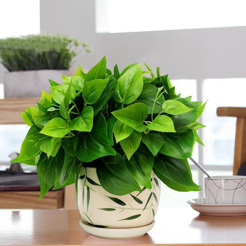 绿萝耷拉叶子没精神,绿萝发黄发蔫不精神怎么办