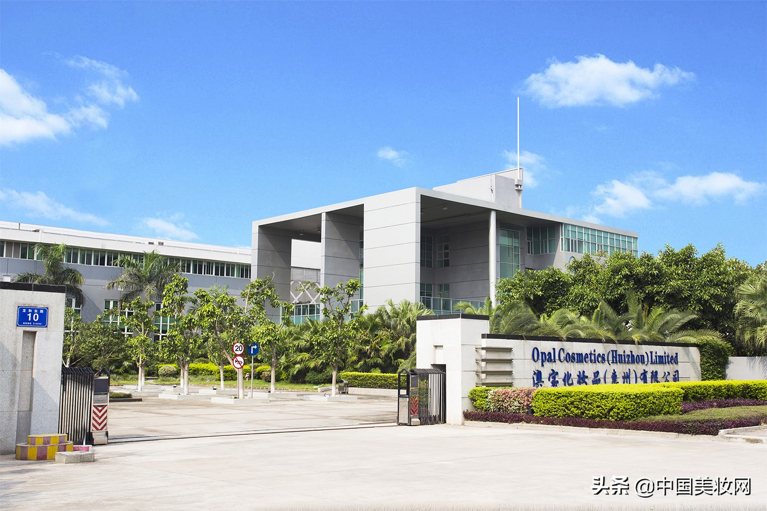 爆品打造的成功案例,爆品打造成功的案例