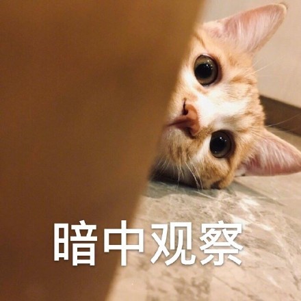 gmat鍜屼笓鍥涘摢涓毦,gmat鍜岄泤鎬濆洓鍏骇