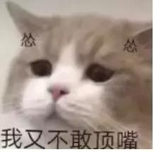 医生有点皮,医生很皮