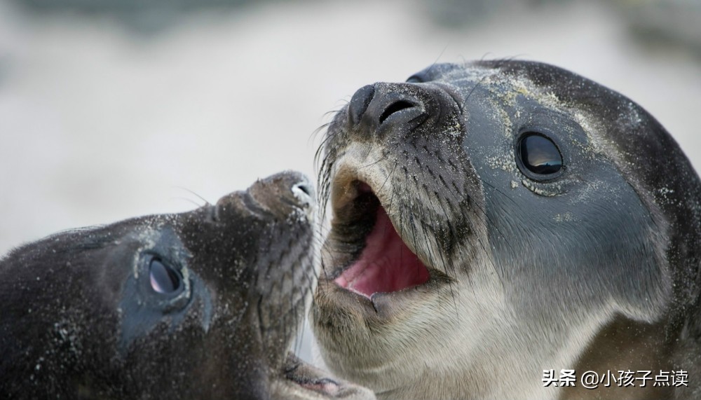 渔人诗,渔人吟即兴诗词原创