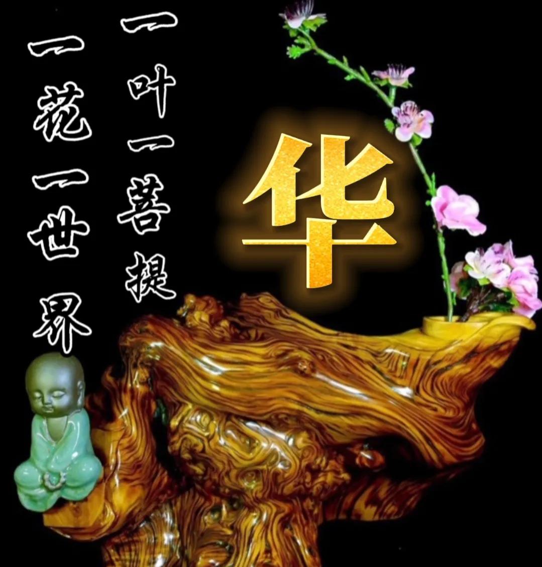 一花一世界一叶一菩提头像,一叶一菩提禅意微信头像