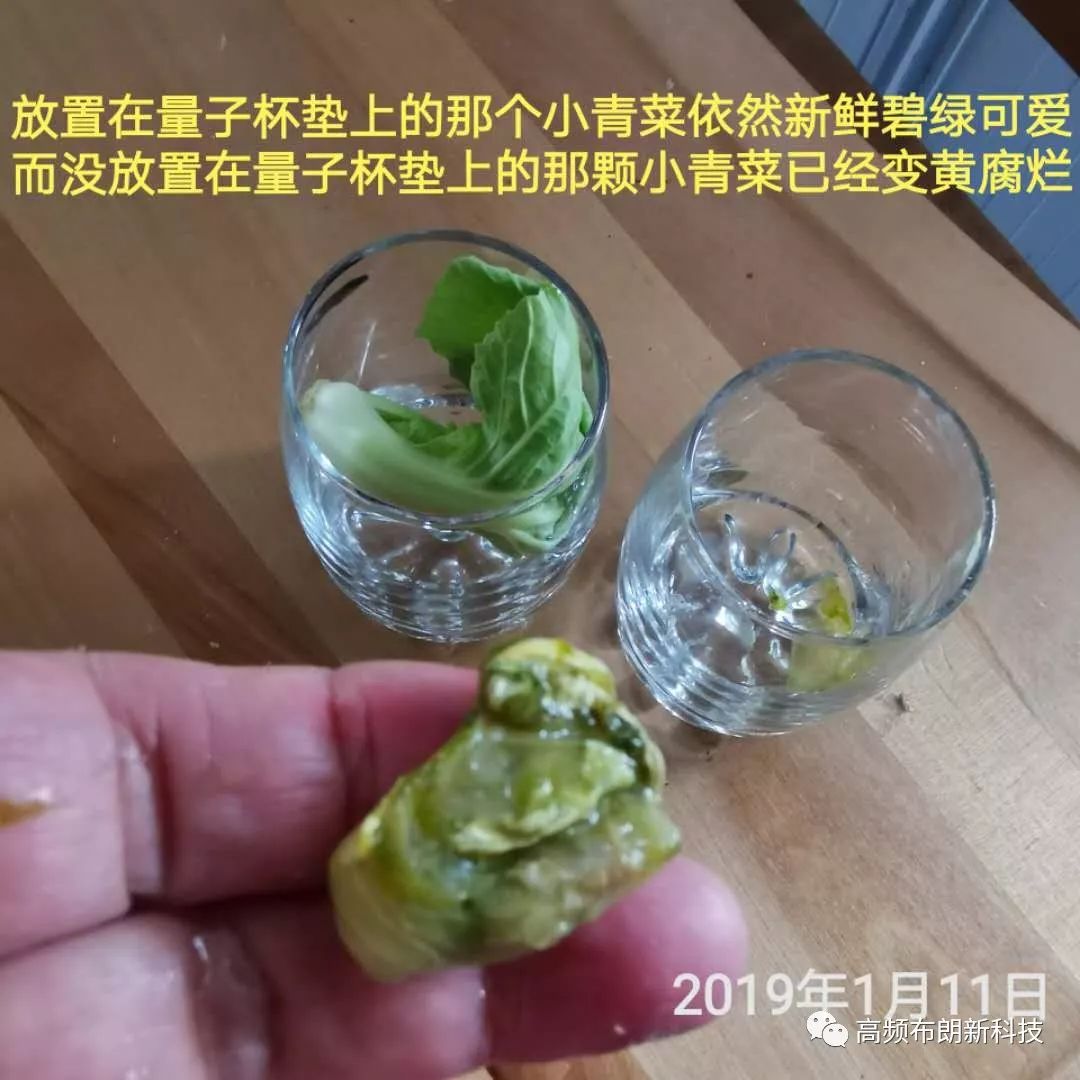 三域社区丨高频布朗科技产品全球企业加盟火爆进行中····