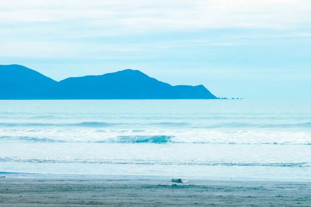 带你去看海最美的海岛,等一个人陪我到海岛