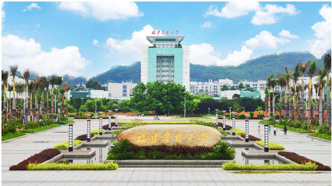 从福建农林大学的快速发展看山东高校的龟步