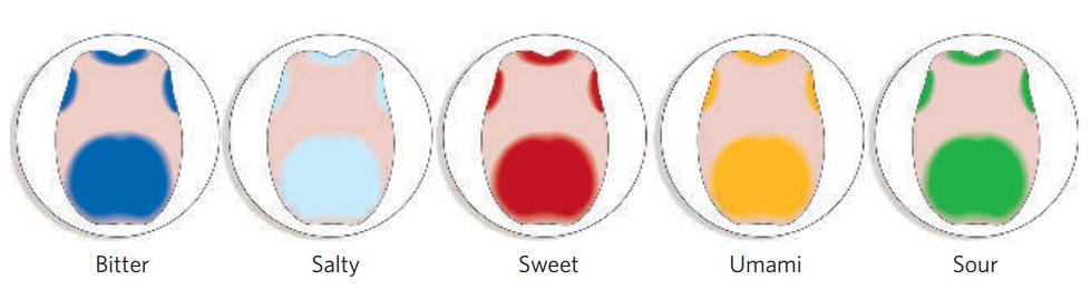 水有气味吗,水有颜色吗有味道吗
